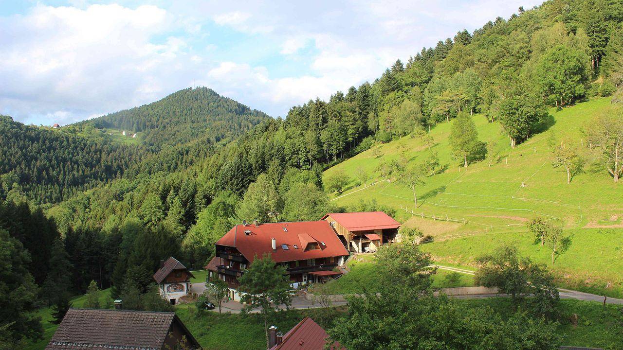 Ganze Ferienwohnung, Ferienwohnung für 7 Personen (58 m²) in Bad Peterstal-Griesbach in Bad Peterstal-Griesbach, Mittlerer Schwarzwald