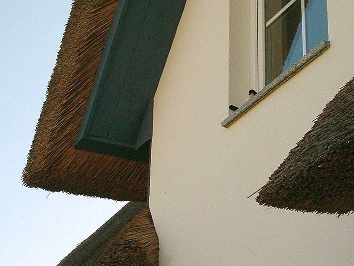 Ferienhaus für 4 Personen, mit Terrasse und Garten in Putgarten - 2
