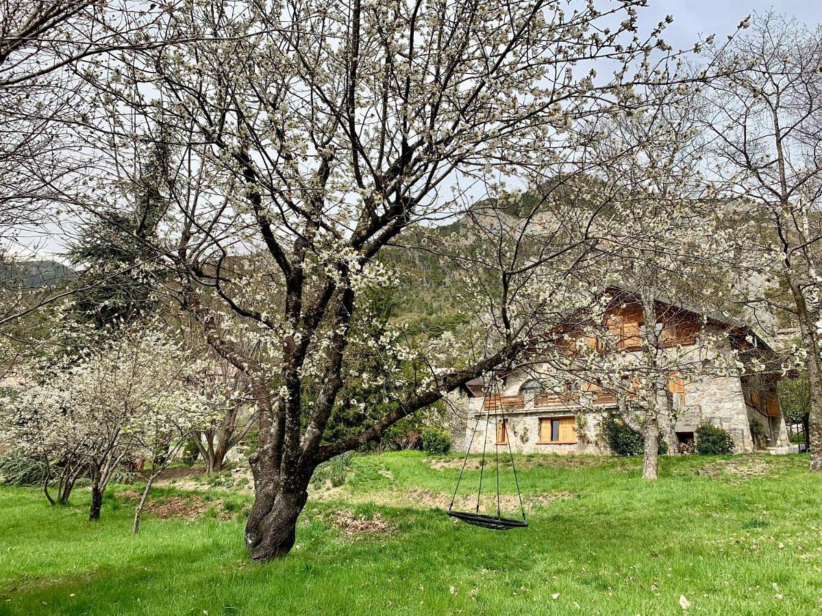 Chalet Le Tilleul in Valdeblore, Région de Nice