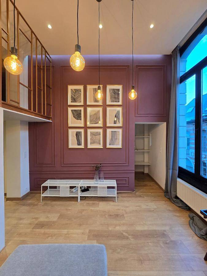 Geheel appartement, Duplex Apartment in Mons Center 3 in Mons (Hennegau), Henegouwen
