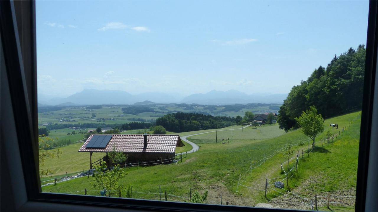 Ganze Wohnung, Ferienwohnung Steger in Gemeinde Mattsee, Bezirk Salzburg-Umgebung