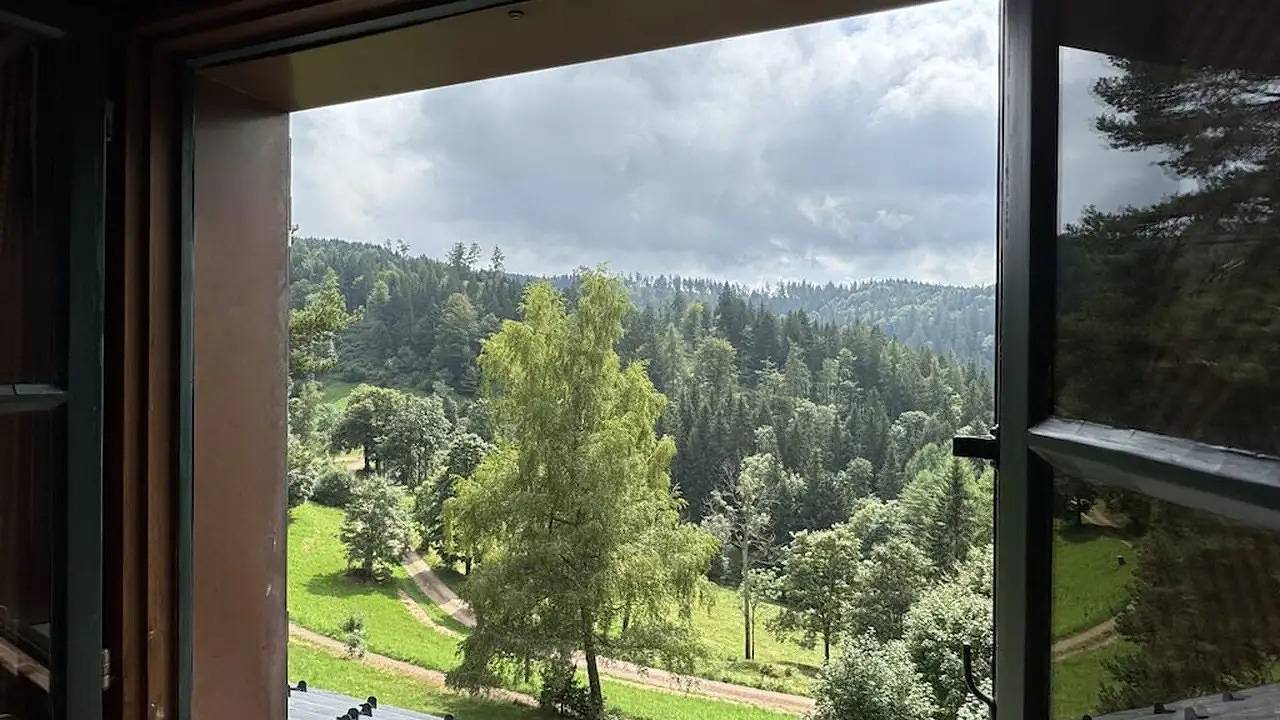 Ferienhaus für 11 Personen (200 m²) in Furtwangen im Schwarzwald in Furtwangen im schwarzwald (Schwarzwald), Furtwangen