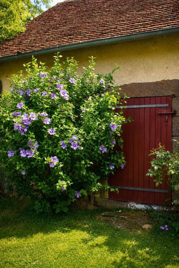 Le Domaine du Petit Tertre in Sainte-Sabine-sur-Longève, Sarthe