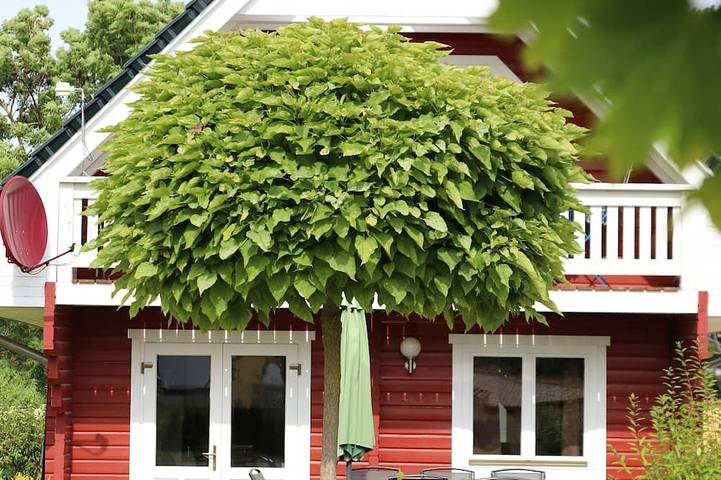 Ferienhaus für 8 Personen, mit Balkon und Garten im Hainich