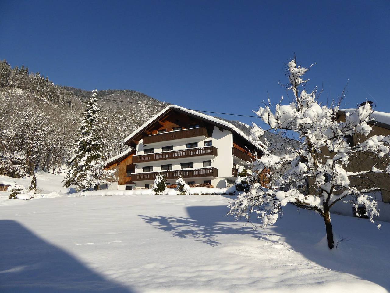 Ganze Ferienwohnung, Apartments Broger - Apartment Hang in Bezau, Bregenzerwald