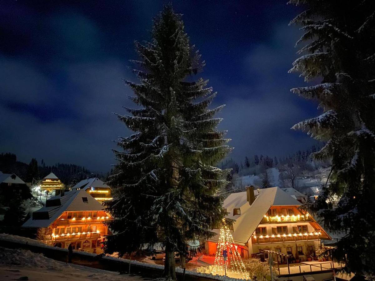 Hotel & Restaurant Grüner Baum - Die Grüne Oase Am Feldberg in Altglashütten (Feldberg), Feldberg