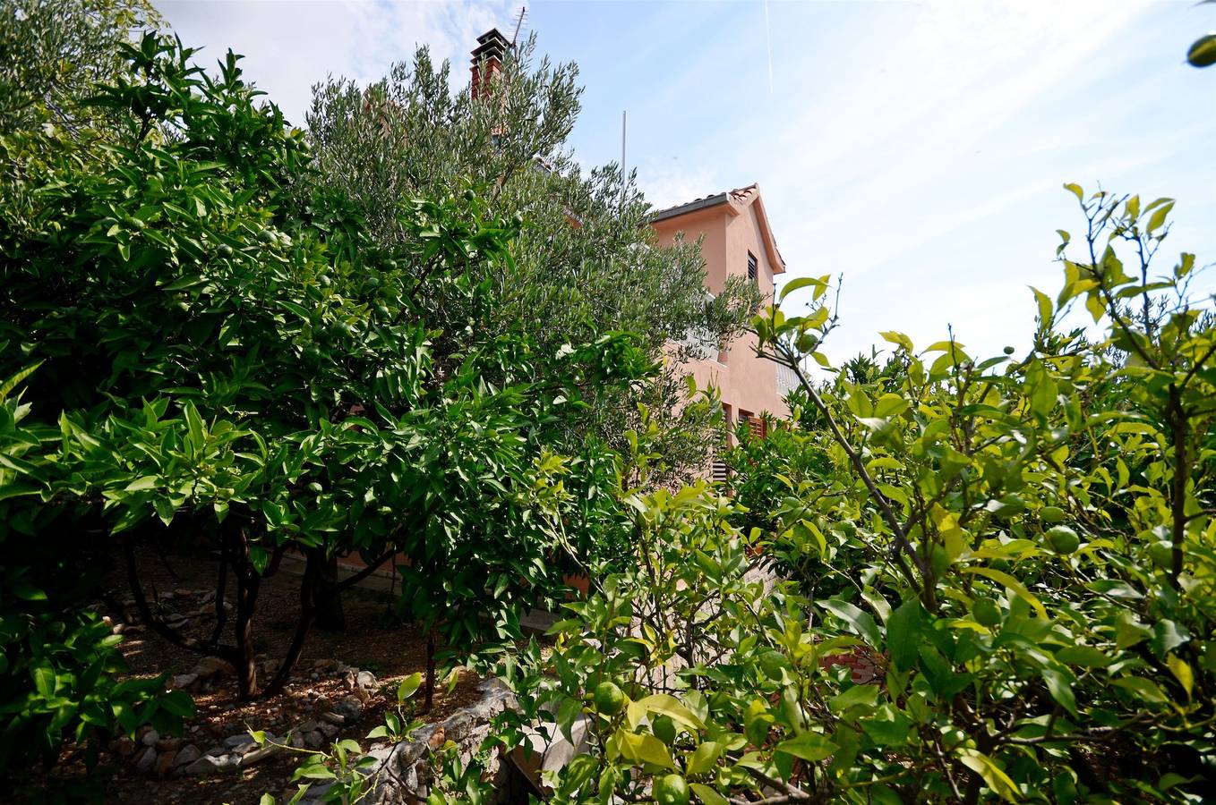 Miroslav in Podgora, Makarska Riviera
