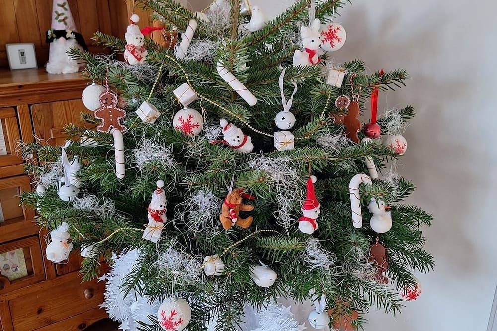 Sélestat : Beautiful warm house 🎄🥨 Meublé de tourisme Les Tulipes 3⭐ in Sélestat, Sélestat-Erstein region