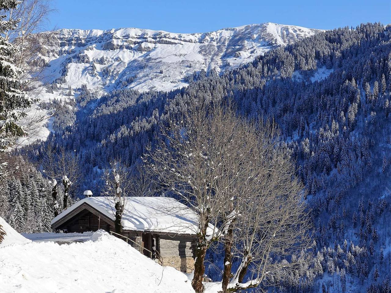 3-room chalet, 6 pers, 2 km from slopes, south-facing, internet in Arêches, Beaufort (Rhône-Alpes)