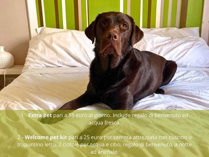 Chambre d’hôte pour 3 personnes à Matera - 3