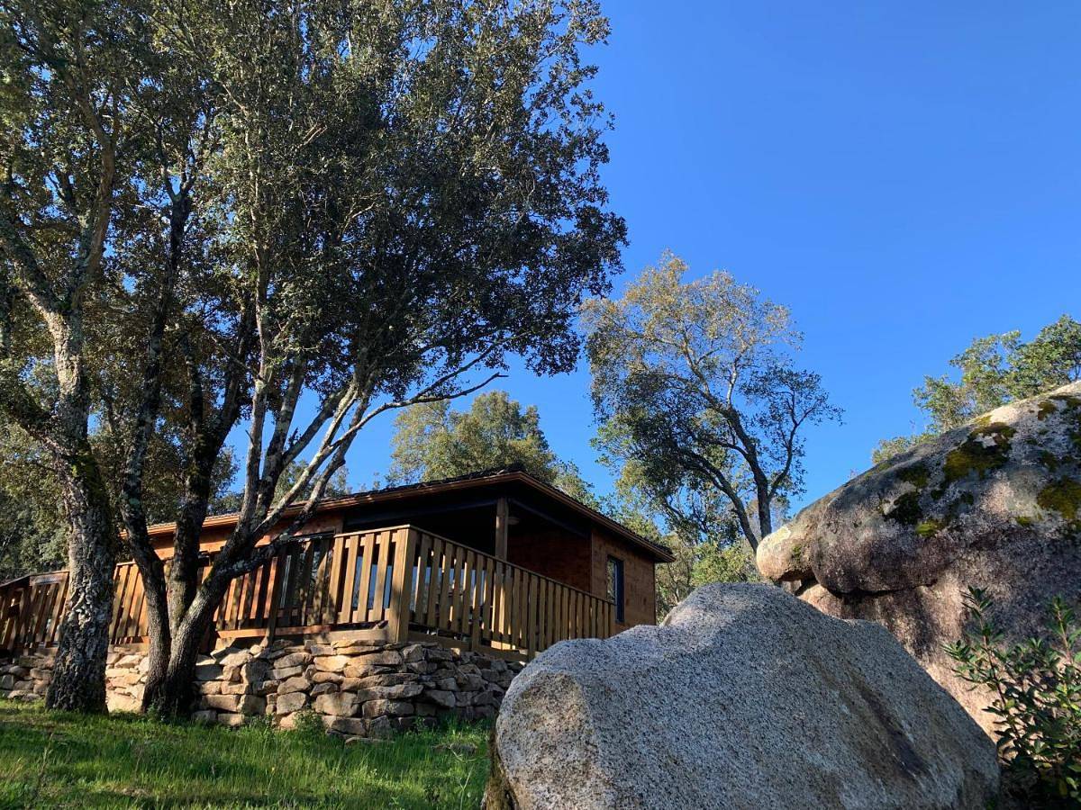 Chalet in the forest (2 adults + 2 children) in Sartène, Arrondissement de Sartène