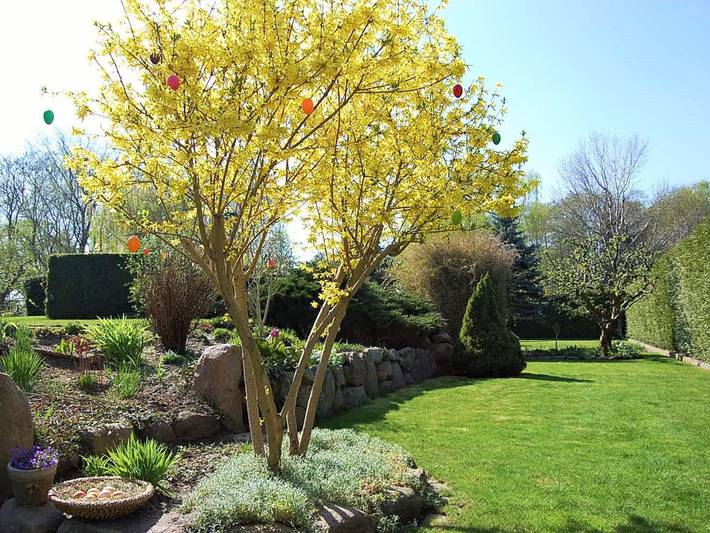 Ferienwohnung für 6 Personen, mit Garten und Pool, kinderfreundlich in Caputh - 3