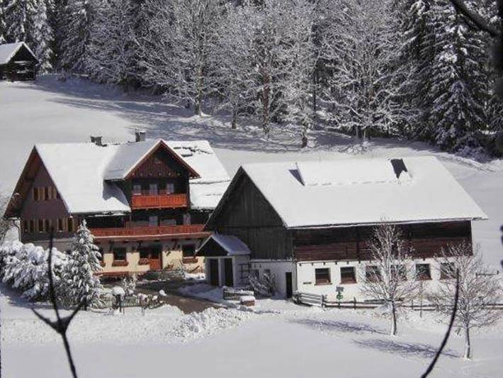Bauernhof für 3 Personen, mit Terrasse und Garten in Ramsau am Dachstein - 2