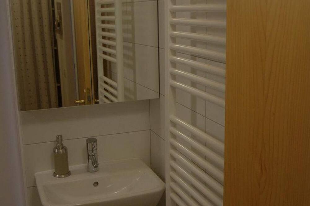 Entire apartment, Appel, Apartment - App. \"Appel\"/1 bedroom/living room/shower, Wc in Werfenweng, Tennengau