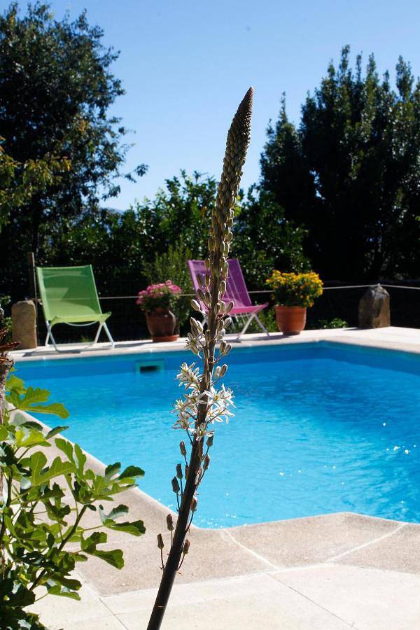 Apartamento de vacaciones para 4 personas, con piscina y jardín - 1