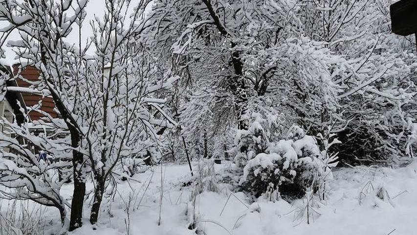 Ferienwohnung für 4 Personen, mit Garten, mit Haustier in Hohenlohe - 2