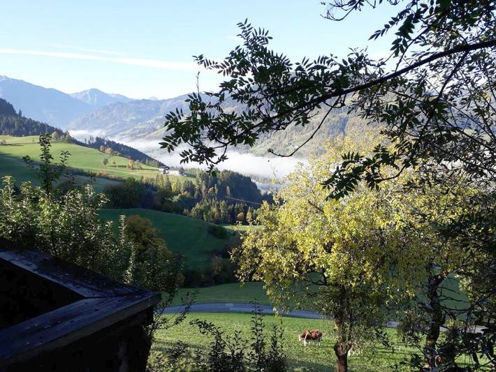 Ferienwohnung für 12 Personen, mit Ausblick und Garten in Bischofshofen - 3