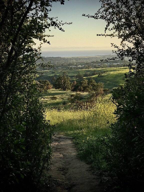 Casa del Sol - Peaceful home away from home. in Santa Barbara, Santa Barbara County