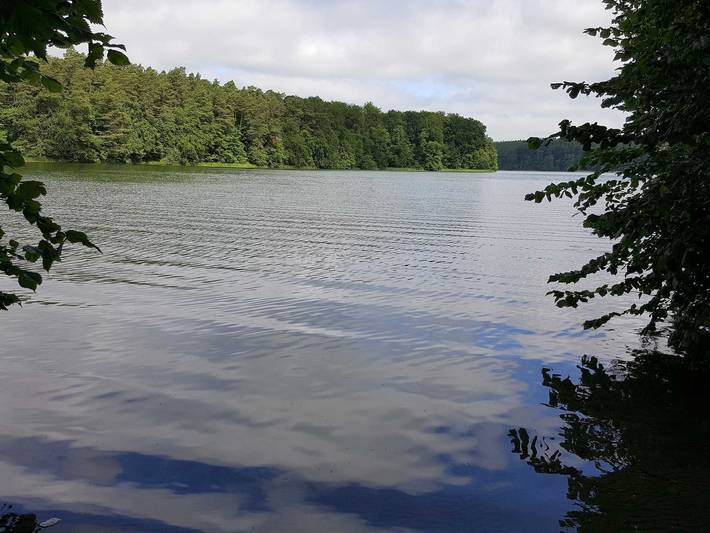 Ferienwohnung für 3 Personen, mit Terrasse und Garten in Blankensee (Mecklenburg) - 3