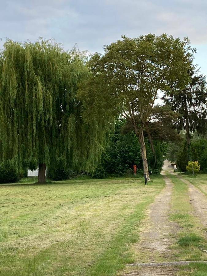 Location de vacances pour 5 personnes, avec jardin et vue, animaux acceptés dans Pont-sur-Yonne - 4