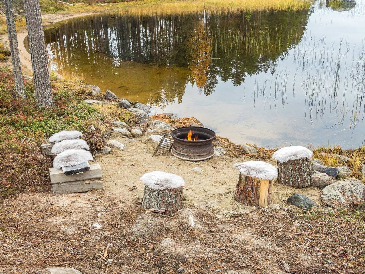 Pähkinä in Ostrobotnia del Norte
