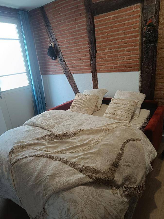 Gîte pour 2 personnes, animaux acceptés à Lescure-d'Albigeois - 4