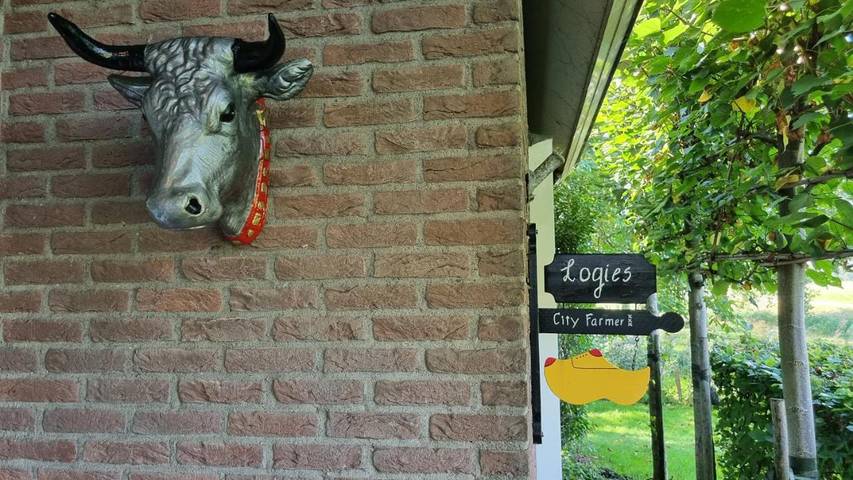 Chambre d’hôte pour 2 personnes, avec jardin et vue à Amsterdam - 3