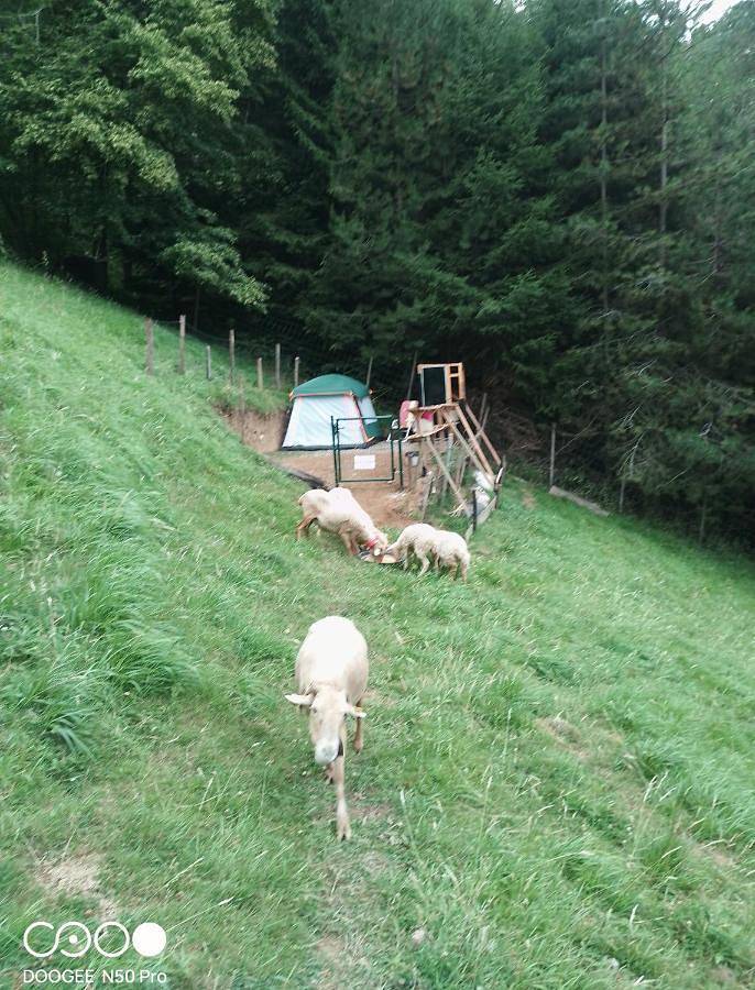 Gîte pour 4 personnes, avec Vue à Sarrancolin - 3