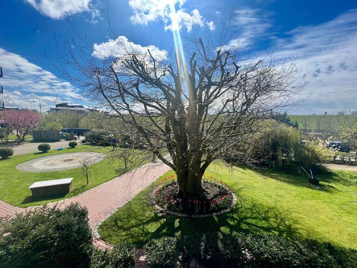 Ferienwohnung für 2 Personen, mit Seeblick und Sauna sowie Garten in Büsum - 3