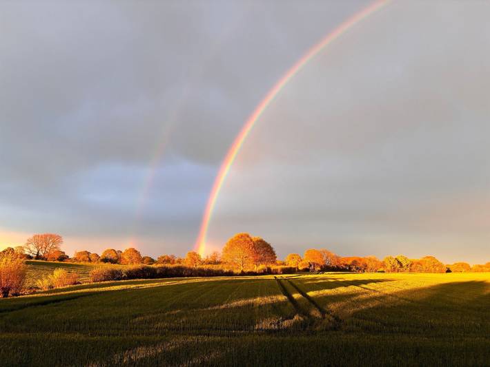 Ferienhaus für 6 Personen, mit Terrasse und Garten, mit Haustier in Hasselberg - 4