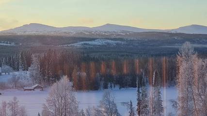 Chalet für 5 Personen in Jämtland, Nordschweden, Bild 4