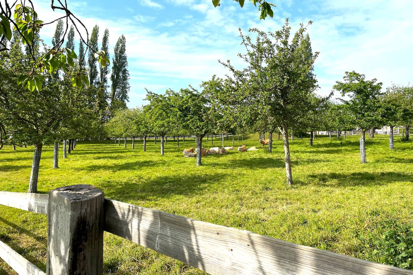 Appartement De Vacances pour 2 Personnes dans Pennedepie, Côte de Grâce