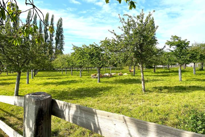 Gîte pour 2 personnes, avec Jardin à Pennedepie