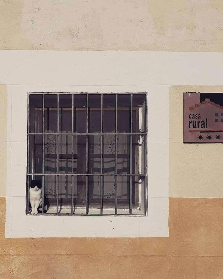 Casa de vacaciones para 11 personas en Tierras del Burgo - 2