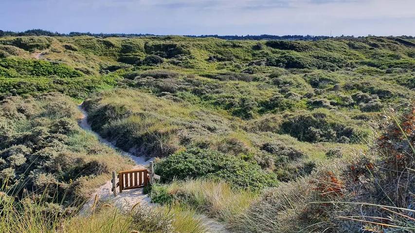 Ferienhaus mit Meerblick für 5 Personen, mit Terrasse in Dänemark an der Nordsee - 3