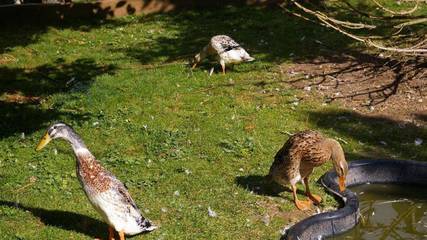 Ferienhaus für 4 Personen in Argenthal, Nahetal, Bild 4