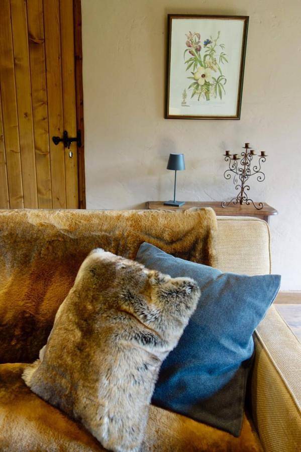 Location de vacances pour 5 personnes, avec jardin et terrasse, animaux acceptés à Besneville - 4