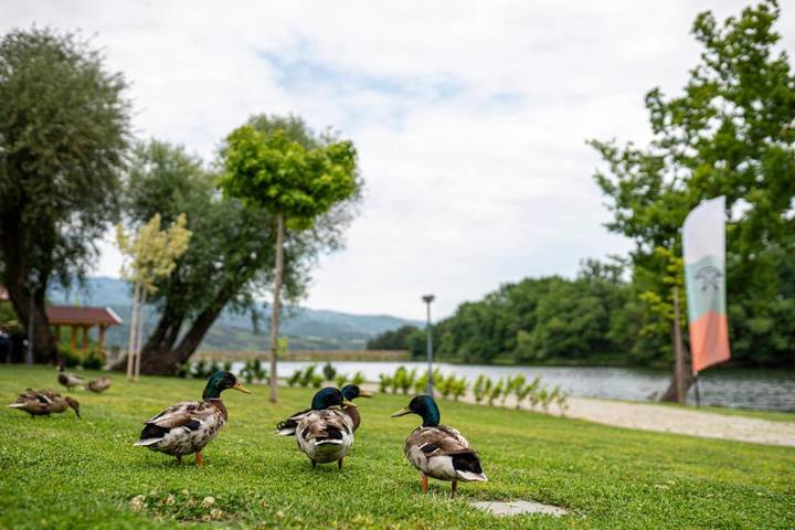 Camping pour 4 personnes, avec jardin et sauna ainsi que jacuzzi et piscine en Bulgarie - 4