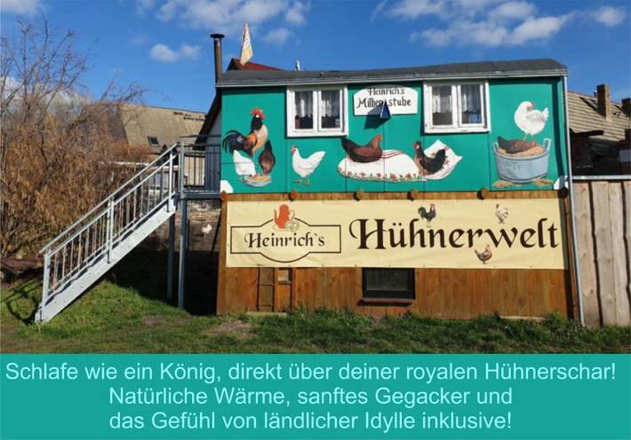 Ferienhaus für 2 Personen, mit Terrasse und Garten sowie Ausblick in Zerbst/Anhalt