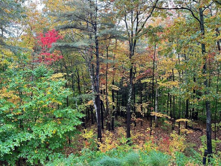Vacation rental for 10 people, with yard and terrace in Lake Sunapee
