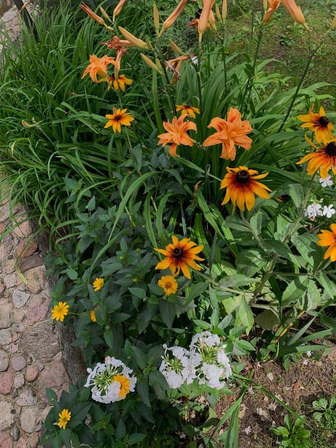 Przystanek Zofiówka in Województwo łódzkie