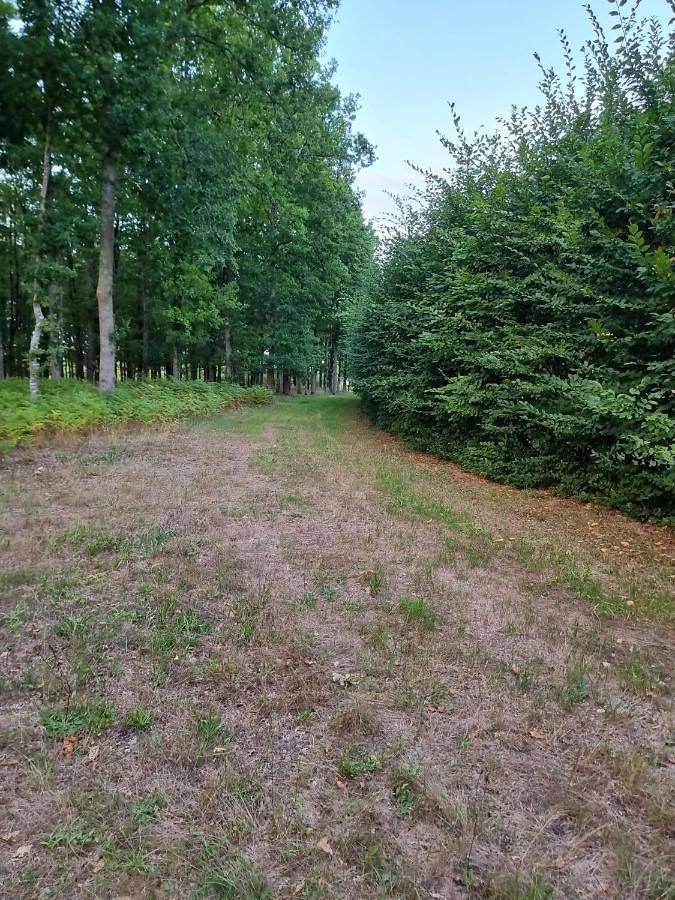 Appartement de vacances entier, Les sentiers d'Elya in Parigné-l'Évêque, Sarthe