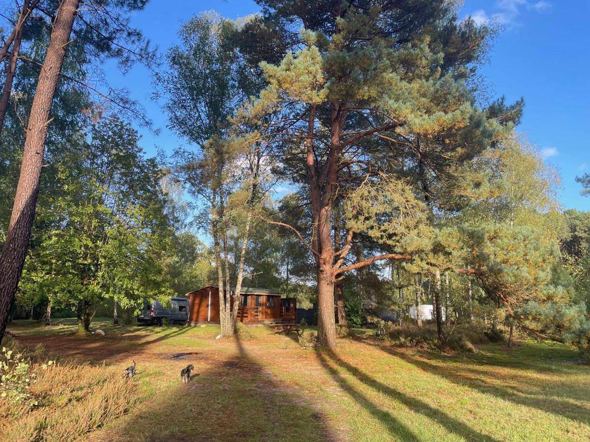 Appartement entier, Chalet dans les bois in Parigné-l'Évêque, Sarthe