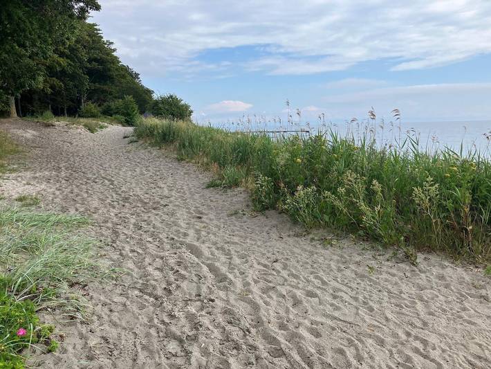 Ferienhaus für 8 Personen, mit Garten in Lolland - 4