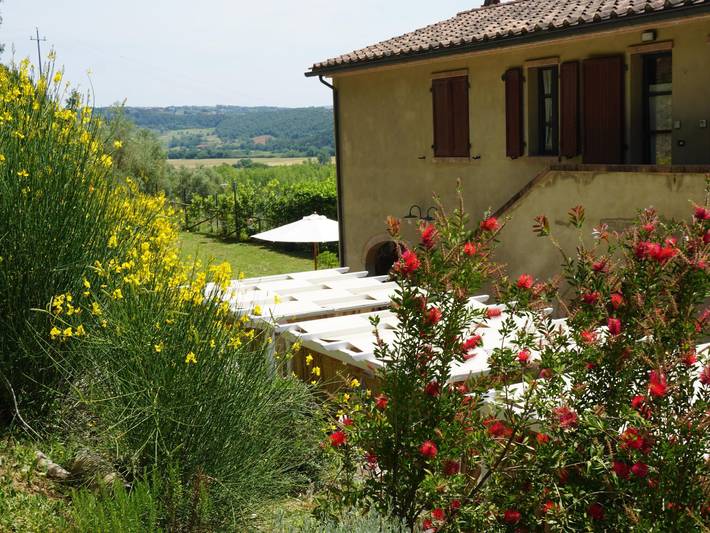 Appartamento intero, Zwischen Dem Land Und Dem Meer in Riparbella, Costa degli Etruschi