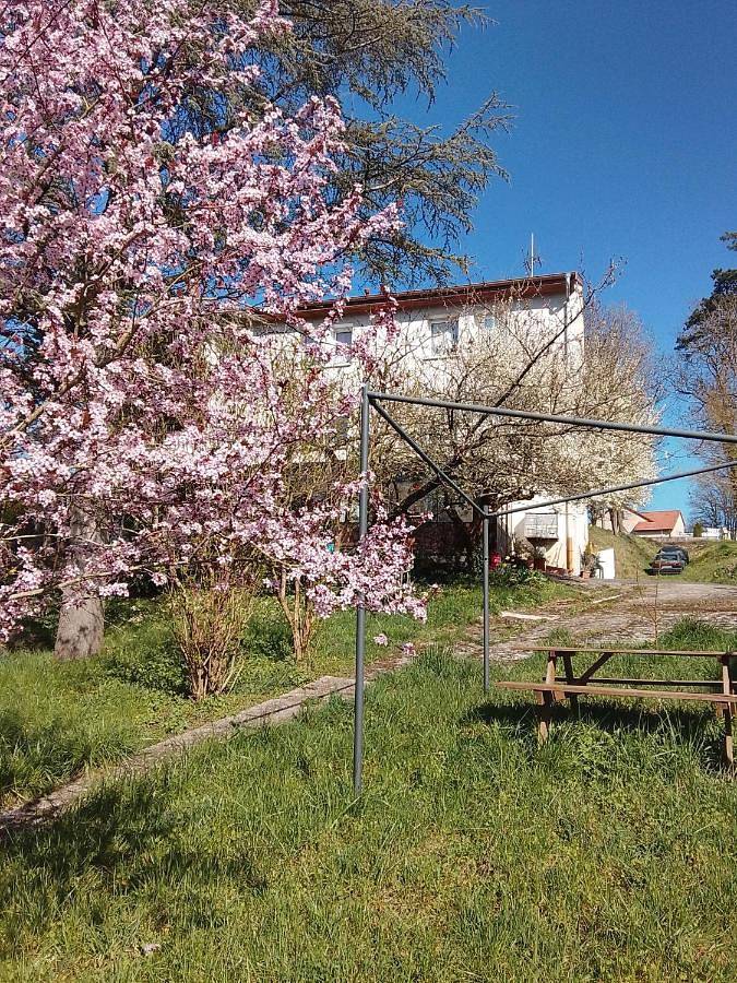 Gîte pour 5 personnes, avec vue et jardin à Contrexéville - 3