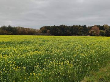 Feriehus til 4 Personer i Møn, Bilde 1