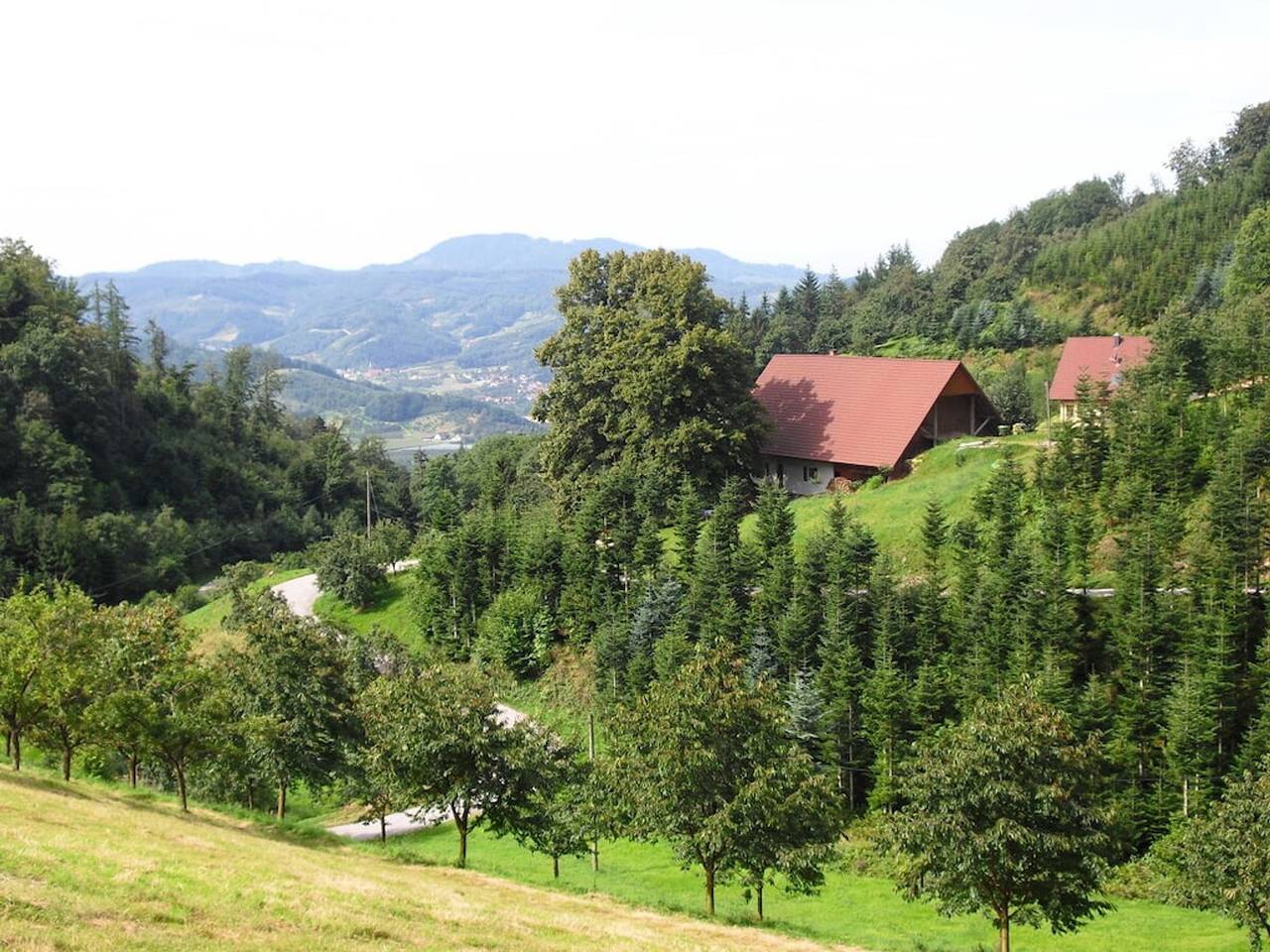 Holiday apartment Auf dem Sohlberg in Lautenbach, Mittlerer Schwarzwald