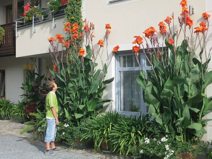 Ferienwohnung im Sonnenhof in Moritzburg, Meißen Region