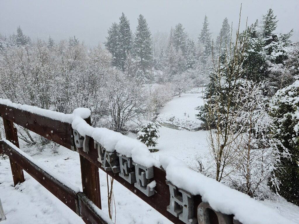 Hanmer Tree House - einzigartige Lage am Waldrand in Hanmer Springs, Hurunui District